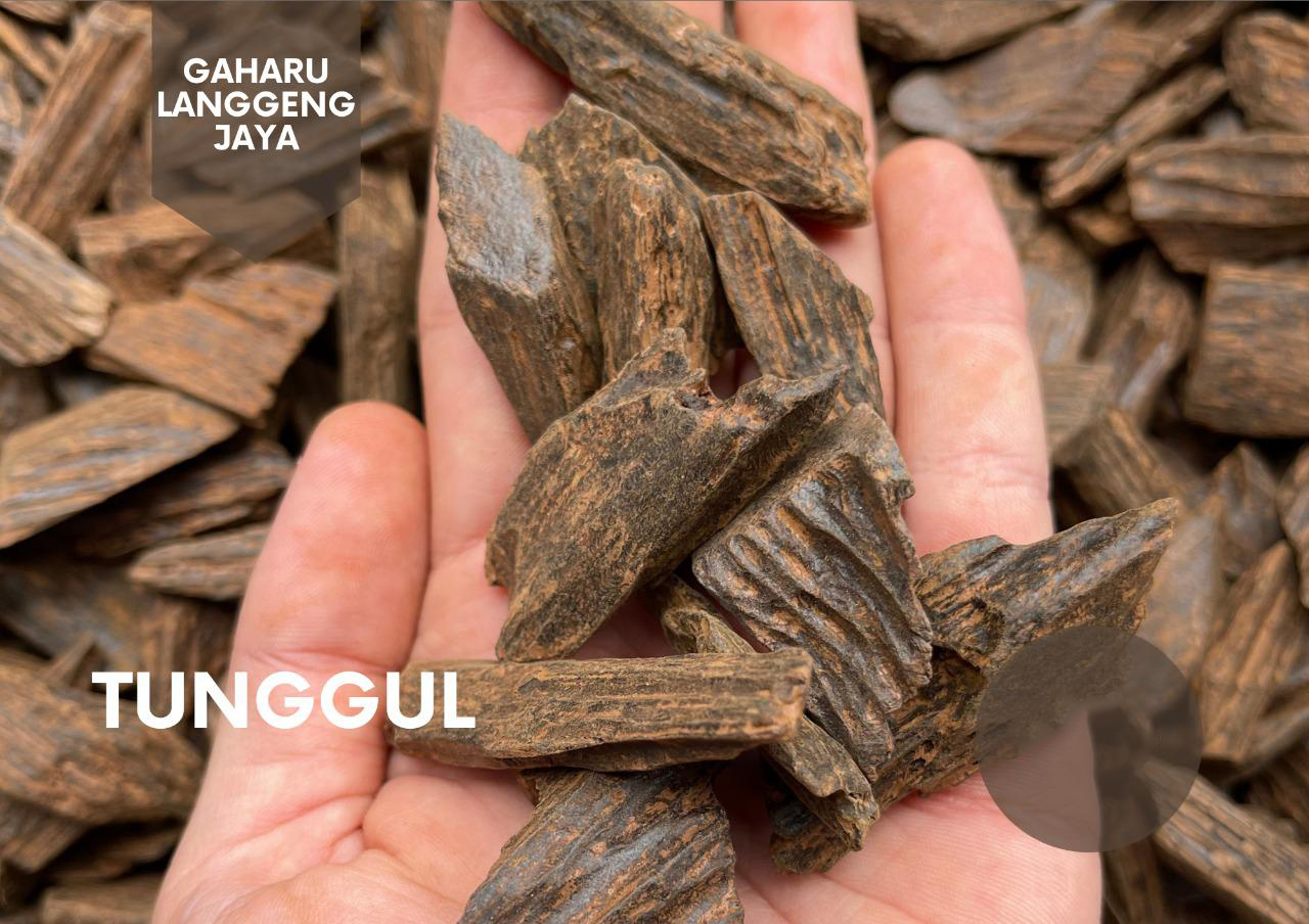 Tunggul Tunggul